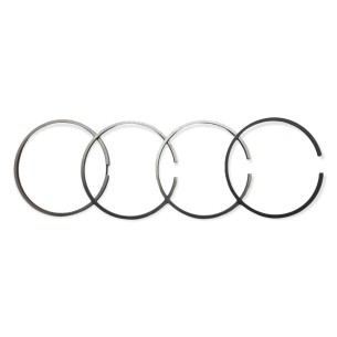Conjunto de segmentos +0,50 Lombardini 4LD820