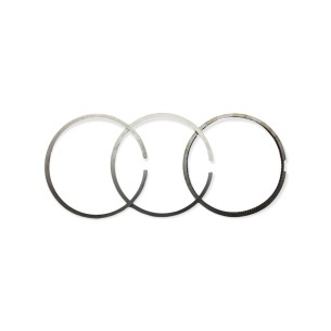 Conjunto de segmentos +1,00 Lombardini LDW 1204/T,LDW 1204,LDW 502,LDW 502 citycar al,LDW 502 citycar P/F,LD