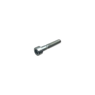 Tornillo Lombardini 9730016 M6 X 35