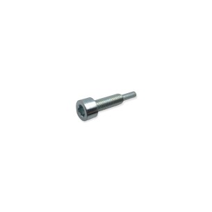 Vis de fixation de pompe d'injection Lombardini LDW 1603, 2204
