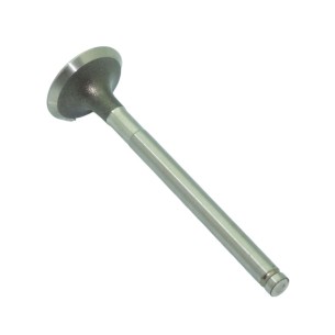 Soupape d'échappement Lombardini 9685074