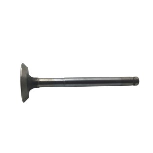 Soupape d'échappement Lombardini 9685039
