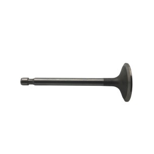 Valve intake Intermotor 1IM