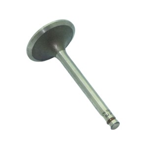 Válvula de admissão Lombardini LGA 340