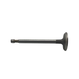 Valvula admision Intermotor 1IM Liquidacion
