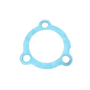 Lombardini 9LD PTO gasket