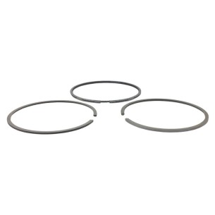Jeu de segments +0,50 Lombardini LDW 1503-2004