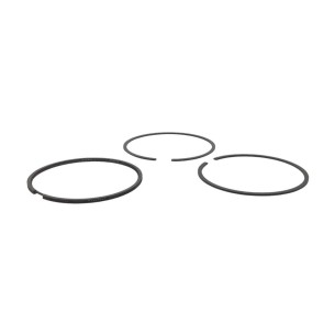 Jeu de segments +0,50 Lombardini LGA 340