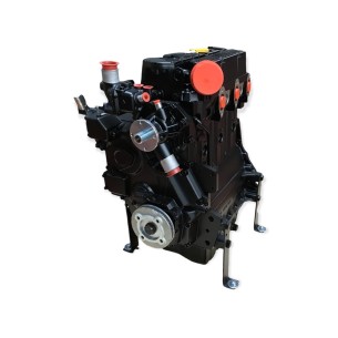 Lombardini LDW 1603 Motor überholt