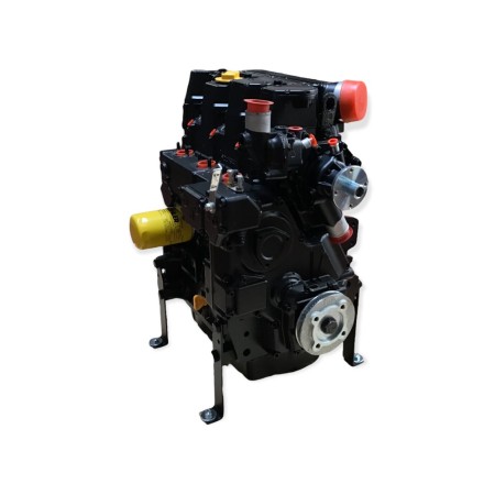 Lombardini LDW 1603 Motor überholt