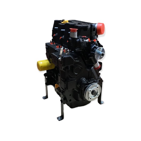 Lombardini LDW 1603 Motor überholt