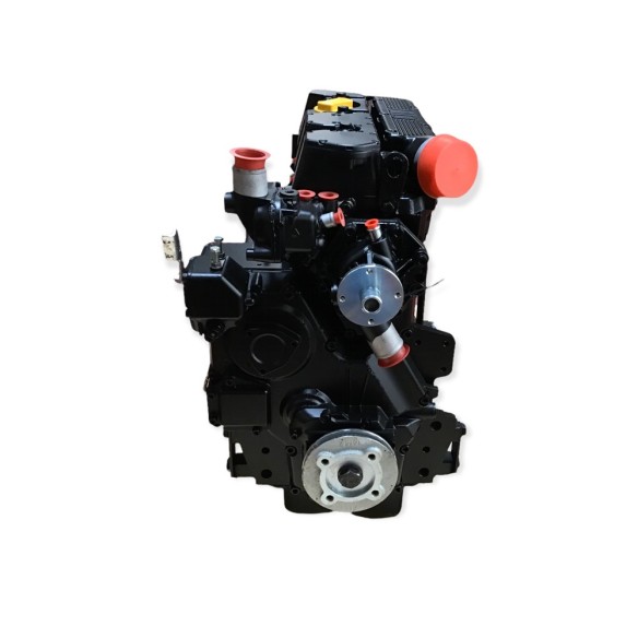 Lombardini LDW 1603 Engine Rebuilt