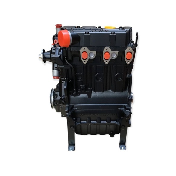 Lombardini LDW 1603 Engine Rebuilt