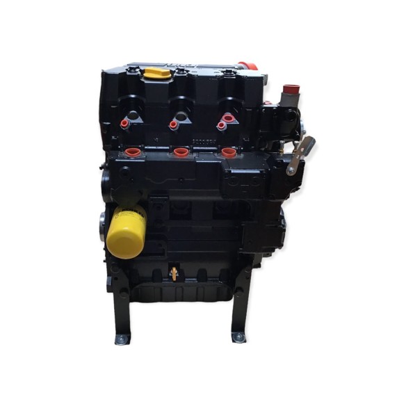 Lombardini LDW 1603 Motor überholt