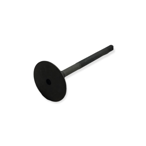 Ruggerini-Einlassventil RD220, 240, 270, 278