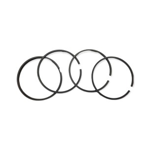 Juego segmentos +1.00 Ruggerini y Minsel rF140/M600/RD270