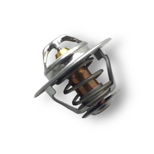 Iveco-Fpt Water Thermostat
