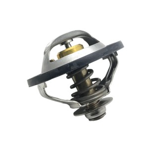 Iveco-Fpt Wasserthermostat