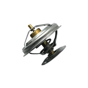 Iveco-Fpt Wasserthermostat