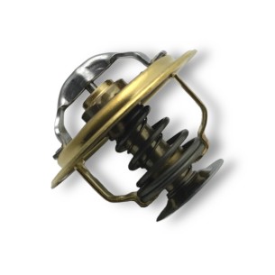 Iveco-Fpt Wasserthermostat