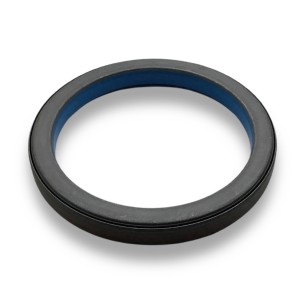 Seal Iveco-Fpt