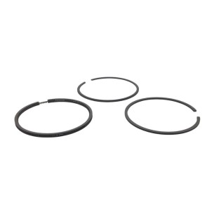 Segments de jeu +0,50 Intermoteur 1IM