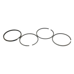 Ring set +1.00 Lombardini 6LD 260