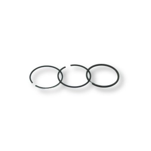 Set of segments +0.50 Lombardini LGW 523 outlet