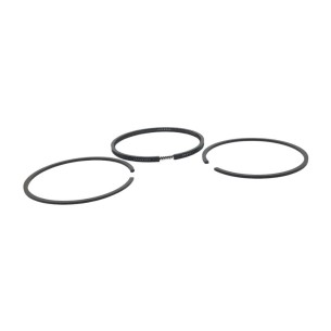 Ring set +1.00 Intermotor LGA 225