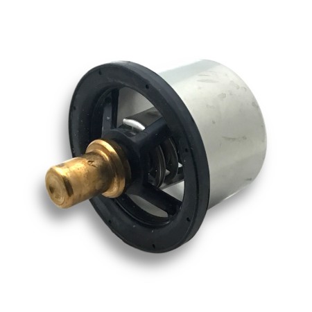 Termostato de água Iveco-Fpt