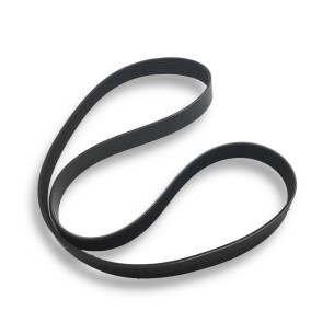 Iveco-Fpt Water Pump Belt