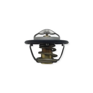 Iveco-Fpt Water Thermostat