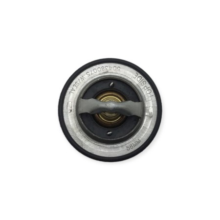 Termostato Agua Iveco-Fpt