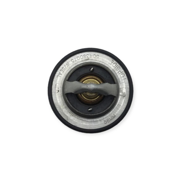 Termostato Agua Iveco-Fpt