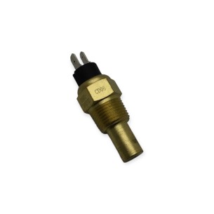 Sensor de temperatura do motor Raywin