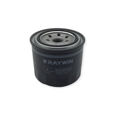 Raywin 4D24T oil filter