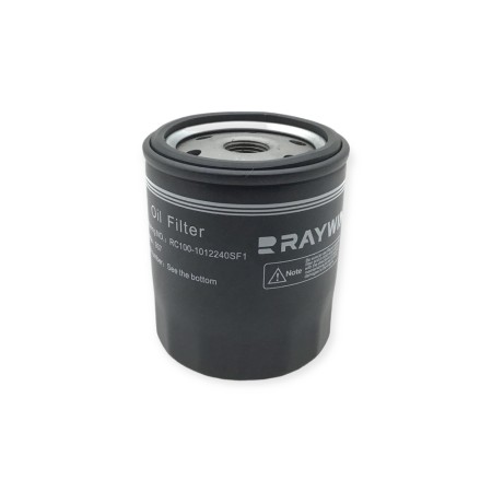 Raywin oil filter