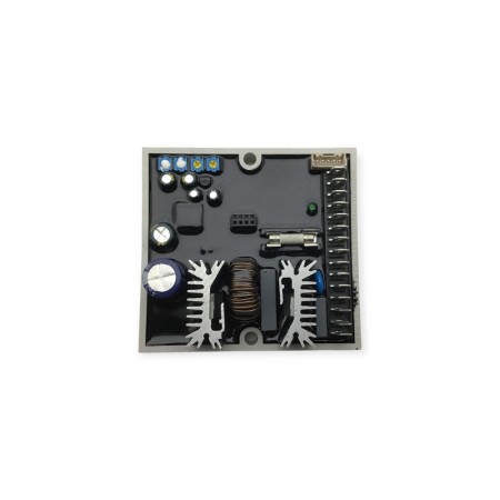 AVR compatible with AVR DSR Meccalte