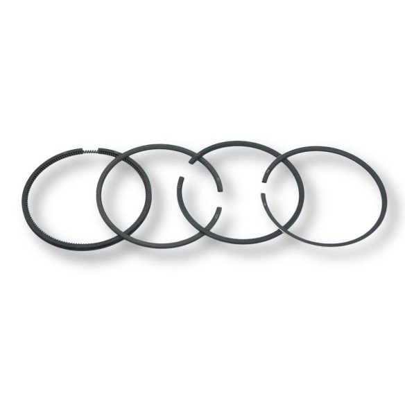 Set of Lombardini segments 3LD450 and 3LD 510 +0.50mm with 4 rings