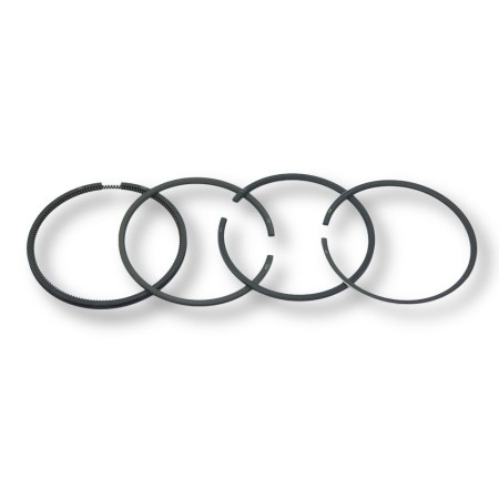 Set of Lombardini segments 3LD450 and 3LD 510...