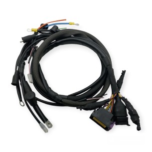 Instalação elétrica Lombardini LDW 1603, 2204