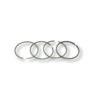 Segmentsatz + 1.00mm mit 4 Lombardini-Ringen 9LD 562-1 – Ausverkauf
