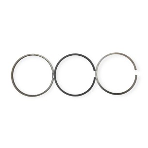 Lombardini STD segment set 8211097