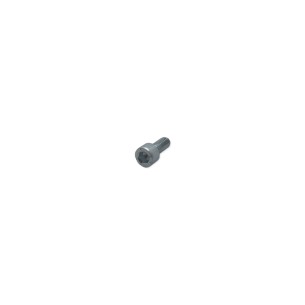 Tornillo m 6 x 14 Lombardini ED0097301070-S