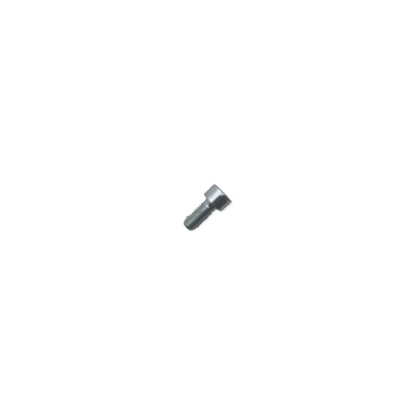 Tornillo m 6 x 14 Lombardini ED0097301070-S