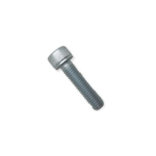 Lombardini LDW M10x40 starter motor screw