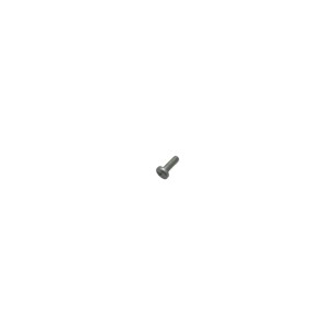 Tornillo M4 0,7x12 Lombardini