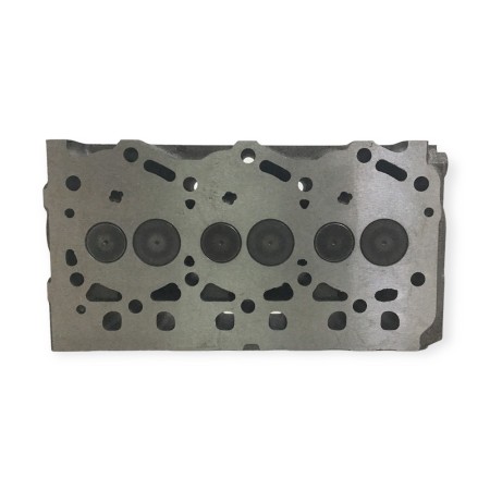 3TNE74 cylinder head with valves