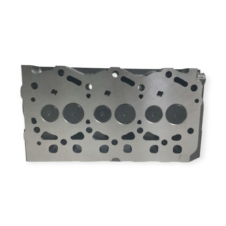 Cylinder head 3TNV70 With valves