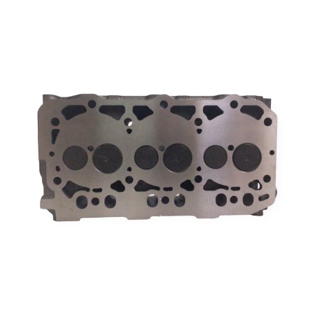 Cylinder head 3TNV84 With valves